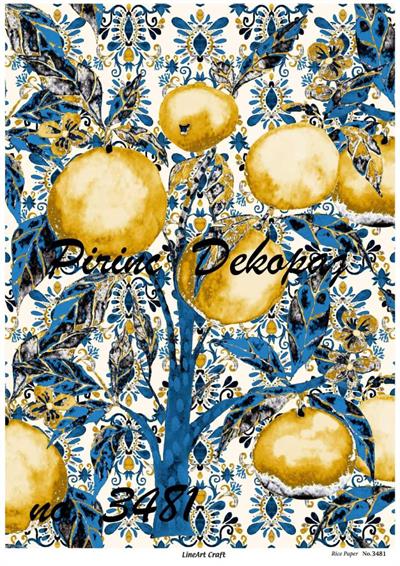 pd-3481-pirinc-dekopaj-c-42ca.jpg