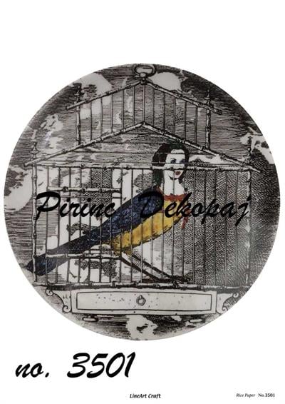 pd-3501-pirinc-dekopaj-b-4ce8.jpg