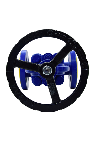 AYVAZ GLOBE VANA GV-16 PN16 DN 50