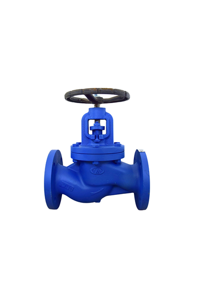 AYVAZ GLOBE VANA GV-16 PN16 DN 65