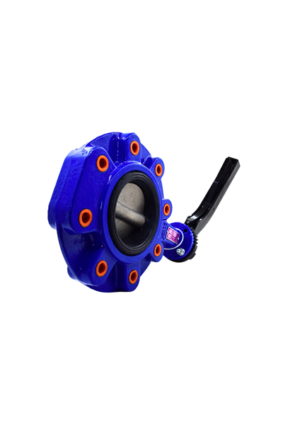 AYVAZ KELEBEK VANA KV4 DN 80 PN16 LUG TİPİ
