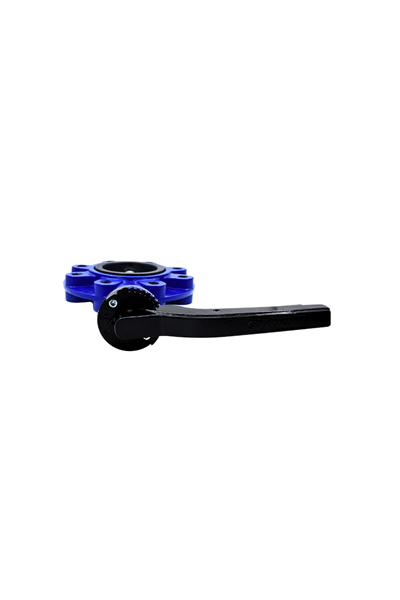 AYVAZ KELEBEK VANA KV8 DN 65 PN16 LUG TİP