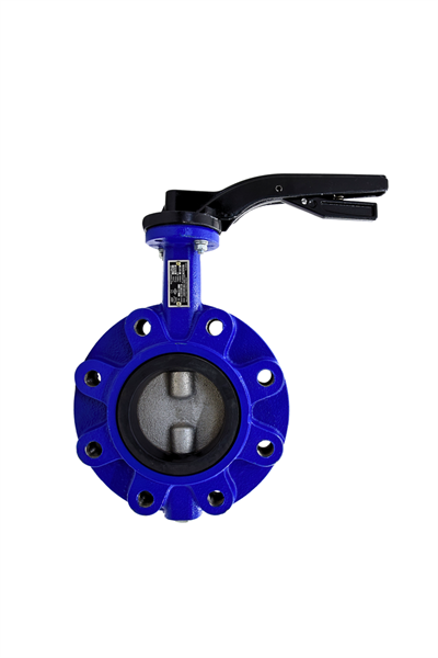 AYVAZ KELEBEK VANA KV8 DN 65 PN16 LUG TİP