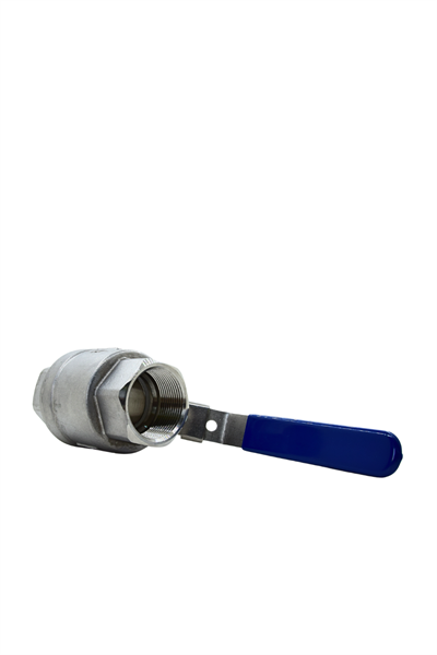 AYVAZ KROM VANA KÜRESEL V-2T 304 21/2