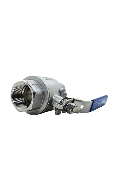 AYVAZ KROM VANA KÜRESEL V-2T 304 21/2