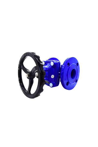 AYVAZ SÜRGÜLÜ VANA ELASTOMER GTK-18 DN 65