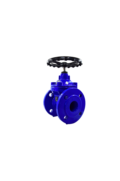 AYVAZ SÜRGÜLÜ VANA ELASTOMER GTK-18 DN 50