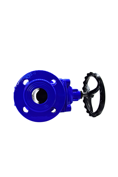 AYVAZ SÜRGÜLÜ VANA ELASTOMER GTK-18 DN100