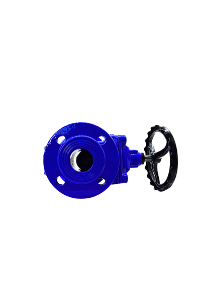 AYVAZ SÜRGÜLÜ VANA ELASTOMER GTK-18 DN 65