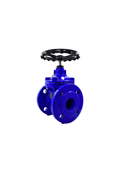AYVAZ SÜRGÜLÜ VANA ELASTOMER GTK-18 DN 65
