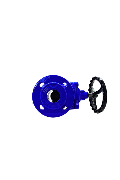 AYVAZ SÜRGÜLÜ VANA ELASTOMER GTK-18 DN 50