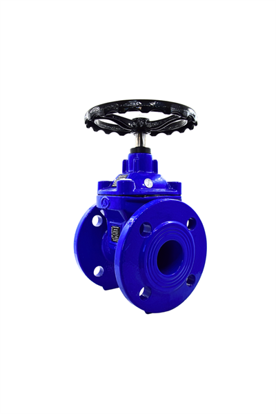 AYVAZ SÜRGÜLÜ VANA ELASTOMER GTK-18 DN100