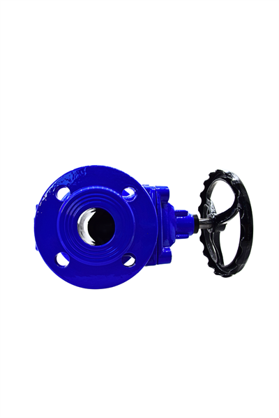 AYVAZ SÜRGÜLÜ VANA ELASTOMER GTK-18 DN150