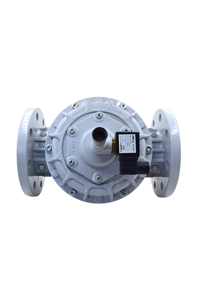 GAZ VENTİLİ  DN80 ESKA