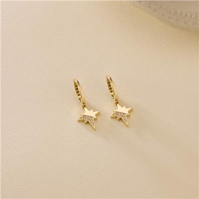 14 Ayar Tasarım Küpe