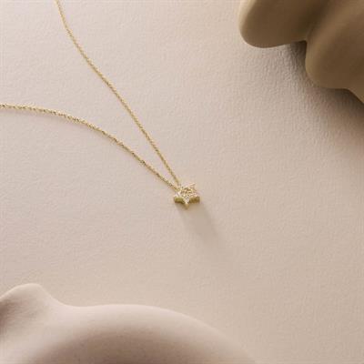 14 Ayar Altın Yıldız Kolye