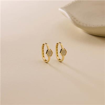 14 Ayar Tasarım Küpe