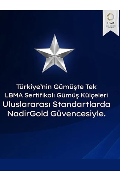 250 Gr Gümüş Külçe
