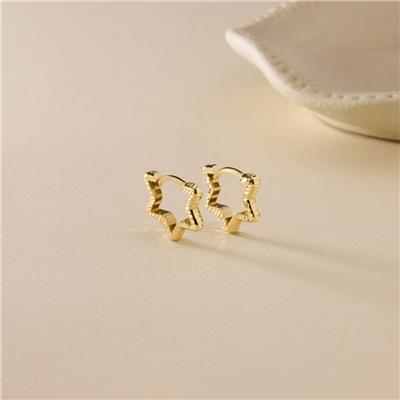 14 Ayar Tasarım Küpe