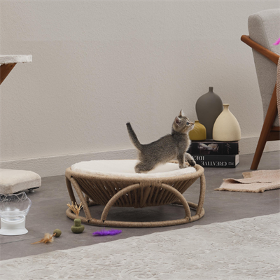 Bornea Pet Yatağı