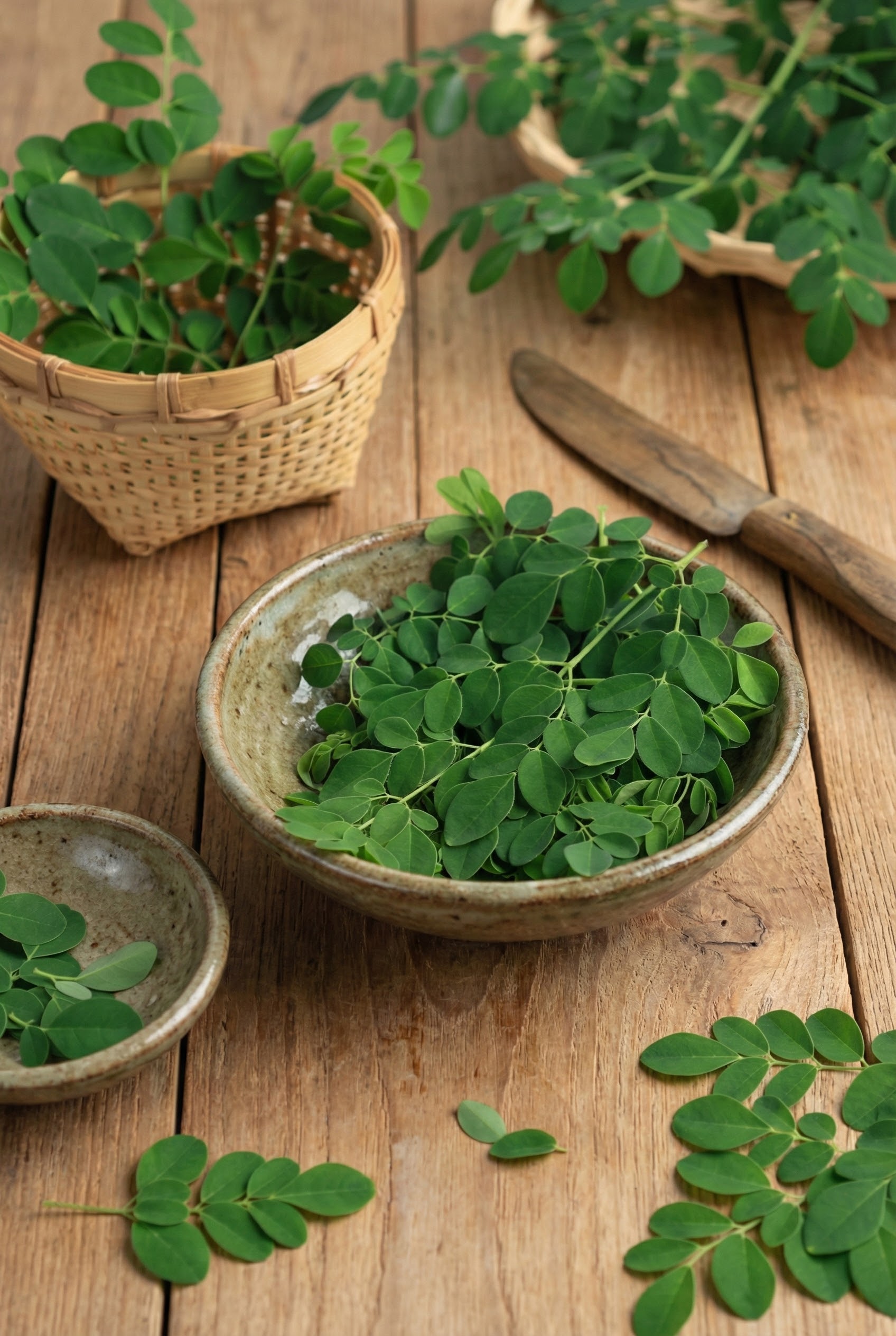 Moringa ve Yeşil Çay Sunumu