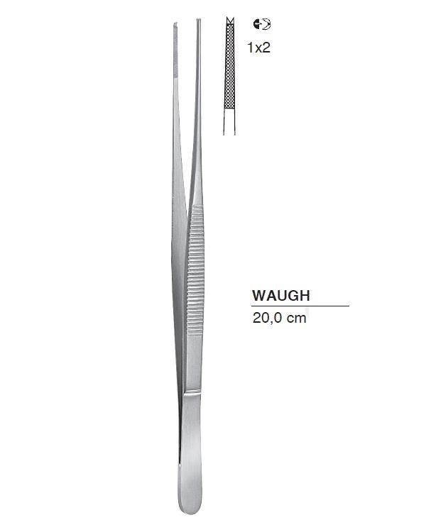 Düz Dişli Penset Waugh  15cm