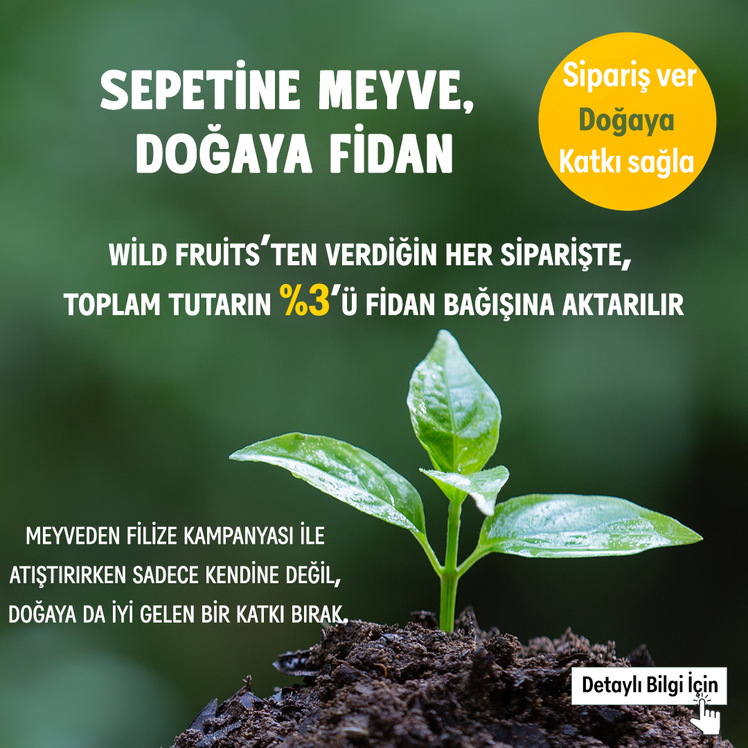 Meyveden Filize