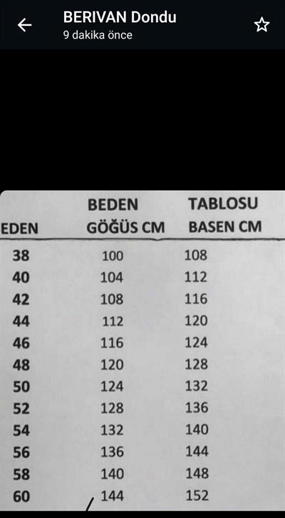 1100 KOD ELBİSE MOR