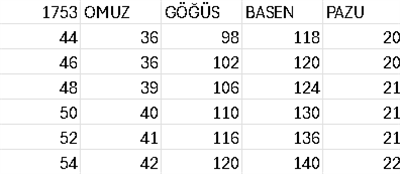 1753 КОД САМОПОДОБНОГО КАМЕННОГО ПЛАТЬЯ