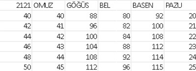 2121 KOD TAŞ DÜĞMELİ ZARİF ELBİSE