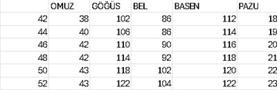 2642 KOD TAŞ İŞLEMELİ KALEM ELBİSE