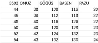 3503 KOD KRİSTAL TAŞ YILDIZ İŞLEMELİ ELBİSE