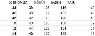 5019 CODE ROBE CRAYON AVEC PIERRES