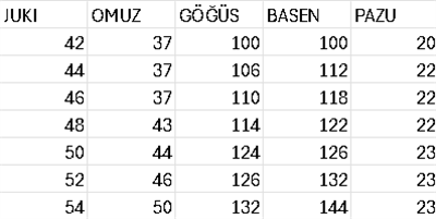 5036 CODE SKIRT PLEATED LACED DRESS