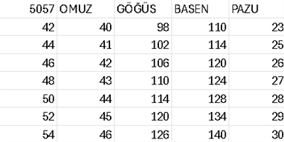 5057 CODE STONE EMBROIDERED DRESS