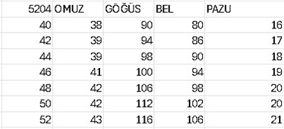 5204 KOD KABARTMA ÇİÇEK DESENLİ ELBİSE