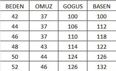 5519 CODE TAŞLI ELBİSE
