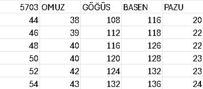 5703 CODE PAPATYA ELBİSE