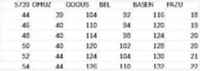 5739 CODE SWAROSKİ TAŞLI SİMLİ ELBİSE