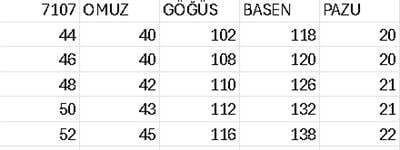 7107 KOD ŞİFON GÜLLÜ ELBİSE