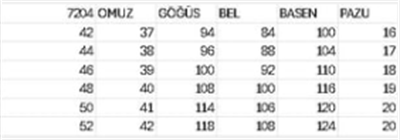 7204 KOD KOLLARI PUL DETAYLI ELBİSE