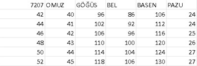 7207 KOD KENDİNDEN PULLU IŞILTI ELBİSE