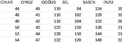 CNR5046 KOD PAYET GARNİLİ ELBİSE