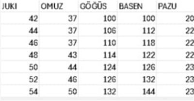 KOLU TAŞLI ŞERİT ELBİSE 3345 KOD