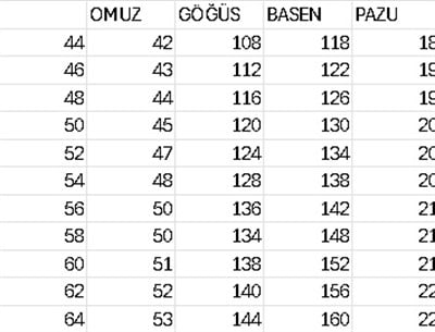 NİHAL İŞLEMELİ ELBİSE 8829 KOD