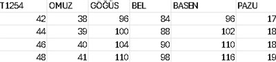 T1254 KOD JAKARLI ELBİSE