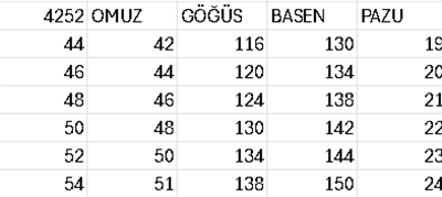 TAŞLI YAKA MANŞETLİ ELBİSE 4252 KOD