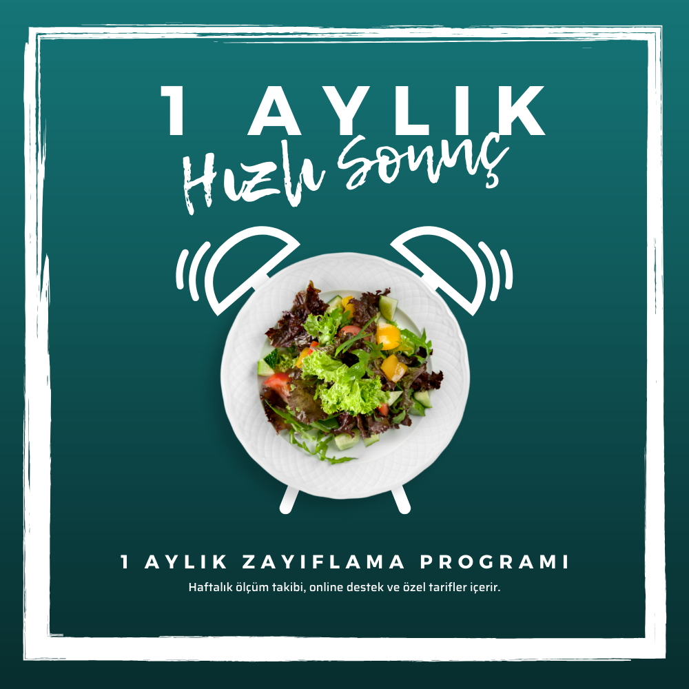 1 Aylık Program