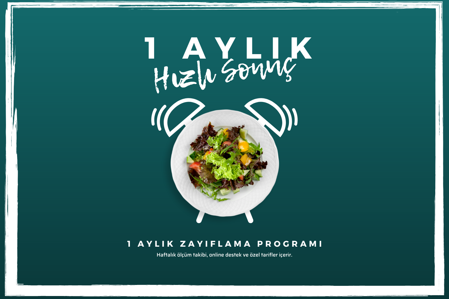 1 Aylık Program