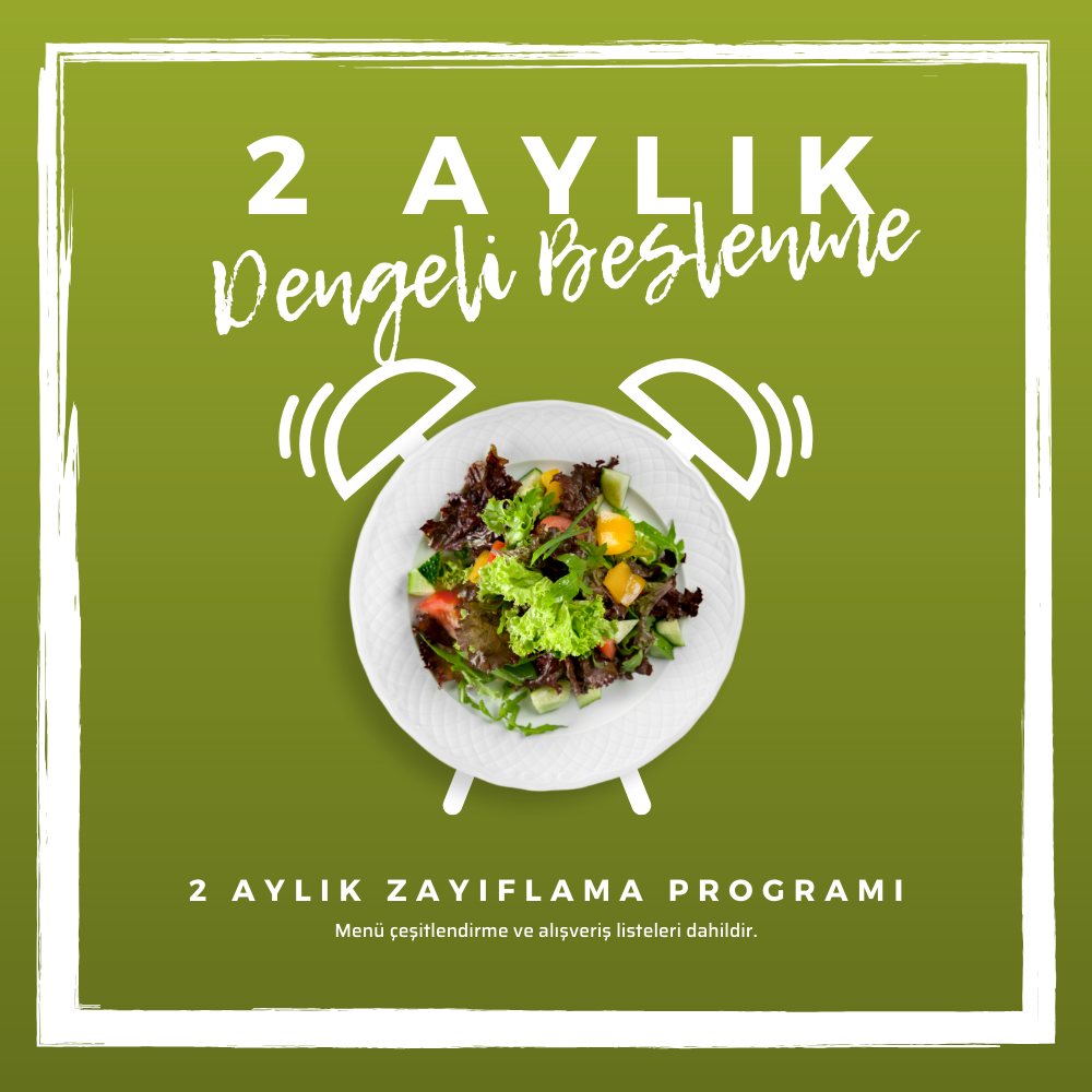 2 Aylık Program